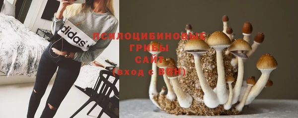 крисы Зеленодольск