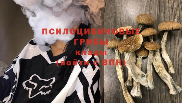 прущая мука Аркадак