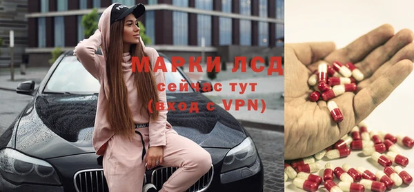 гашик Алексеевка