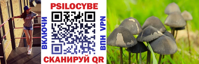 Псилоцибиновые грибы GOLDEN TEACHER  OMG как войти  Славск 